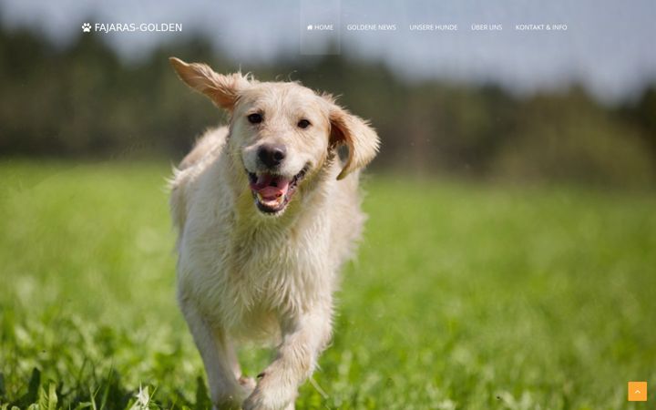 Screenshot von fajaras-golden.de