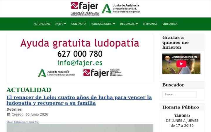 Screenshot of fajer.es