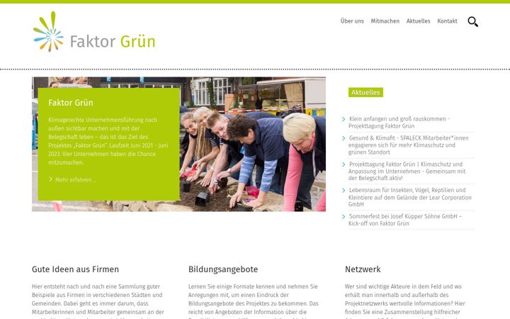 Screenshot of faktor-gruen.de