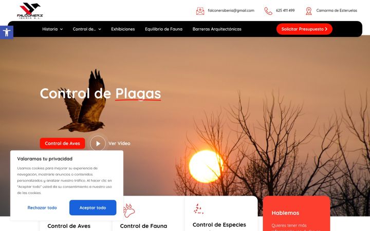 Screenshot of falconers.es