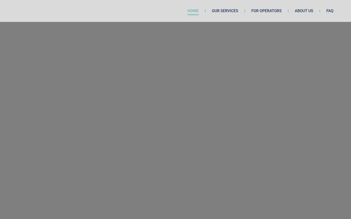 Screenshot of falconmga.com