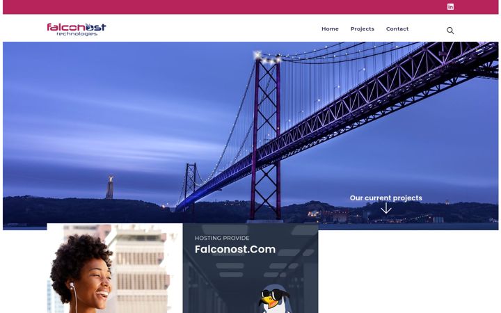 Screenshot of falconost-tech.pt