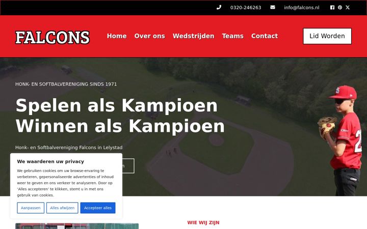 Screenshot of falcons.nl