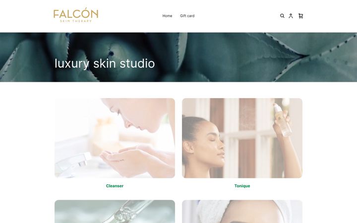 Képernyőkép: falconskintherapyonline.com