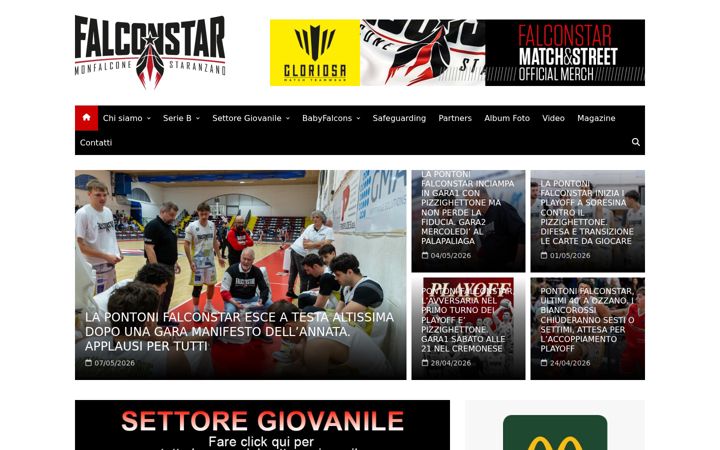 Screenshot of falconstar.it