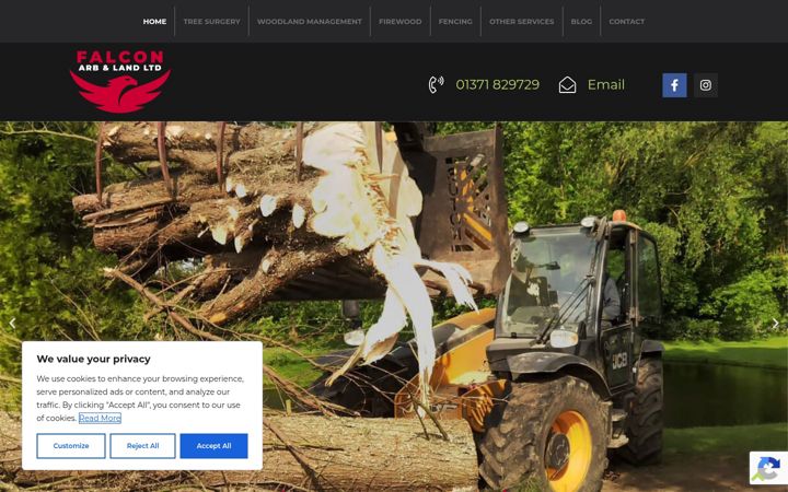 Screenshot of falcontreespecialists.co.uk
