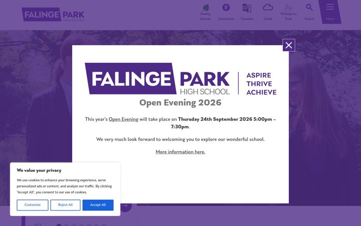 Screenshot of falingepark.com