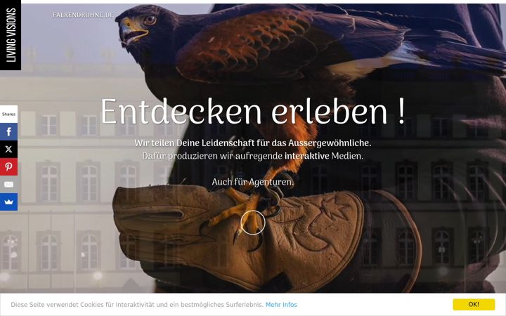 Screenshot of falkendrohne.de