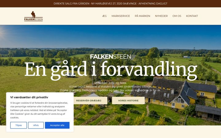 Screenshot of falkensteen.dk