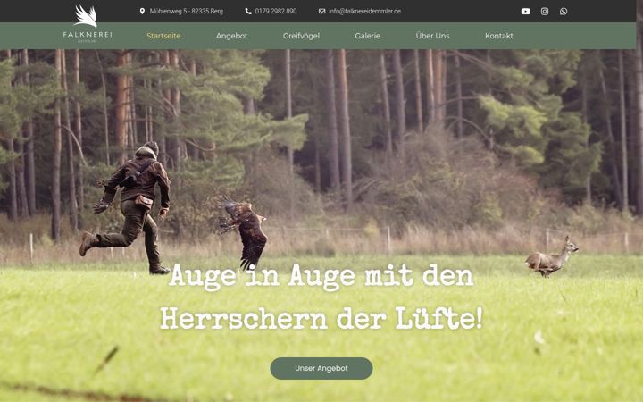 Screenshot of falknereidemmler.de