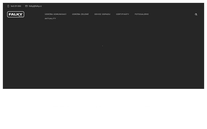 Screenshot of falky.cz