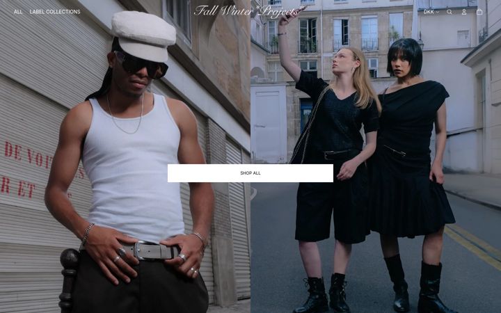 Screenshot of fallwinterprojects.com