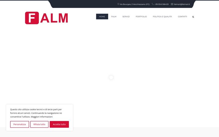 Screenshot of falmsrl.it