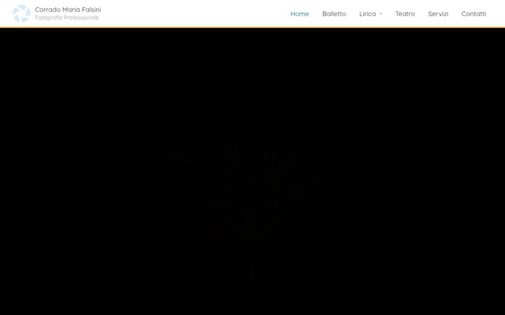 Screenshot of falsini.com