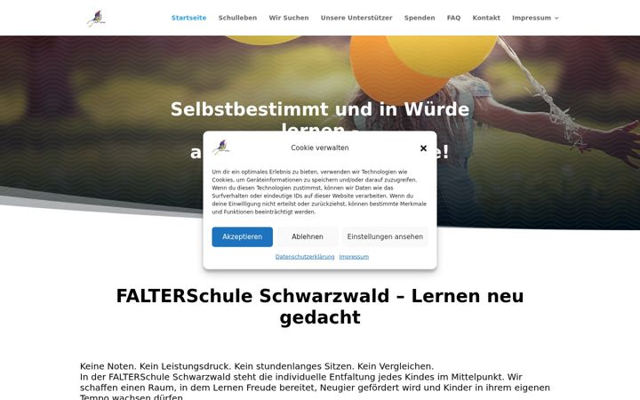 Screenshot of falterschule-schwarzwald.de