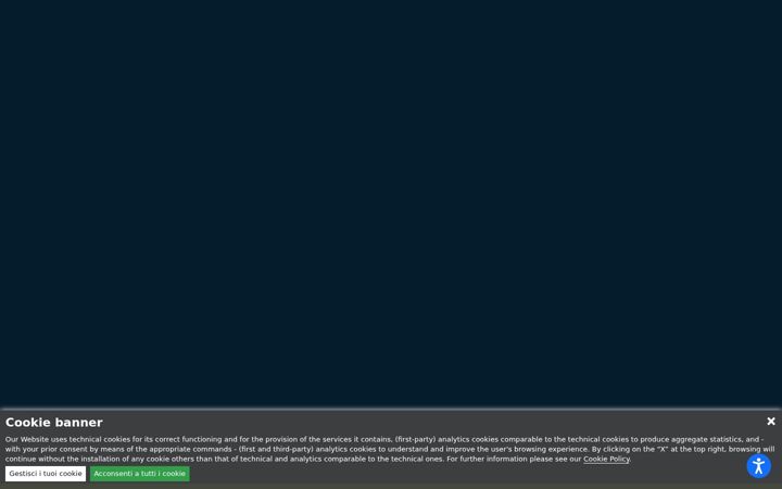Screenshot of fameccanica.it