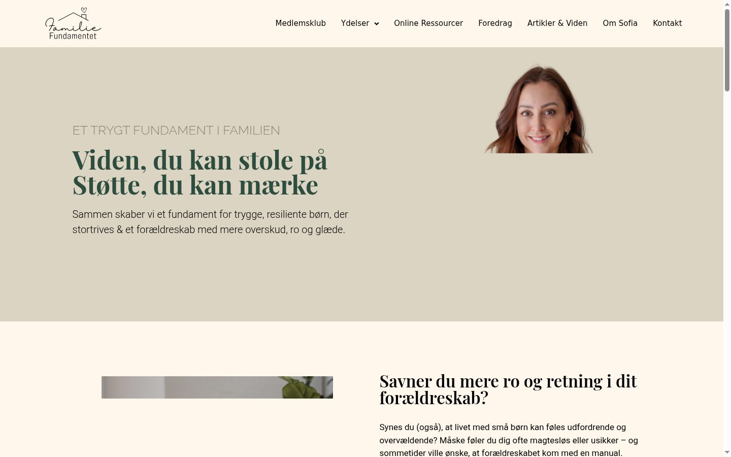 Sutikimo reklamjuostės, rodytos prieš bet kokią sąveiką, ekrano kopija
