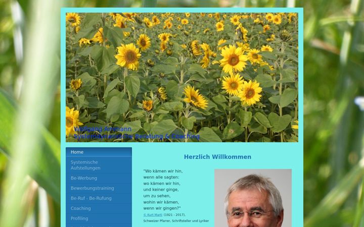 Skjámynd af familien-system-aufstellung.de