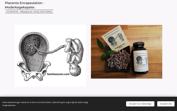 Screenshot of familiezonen.com