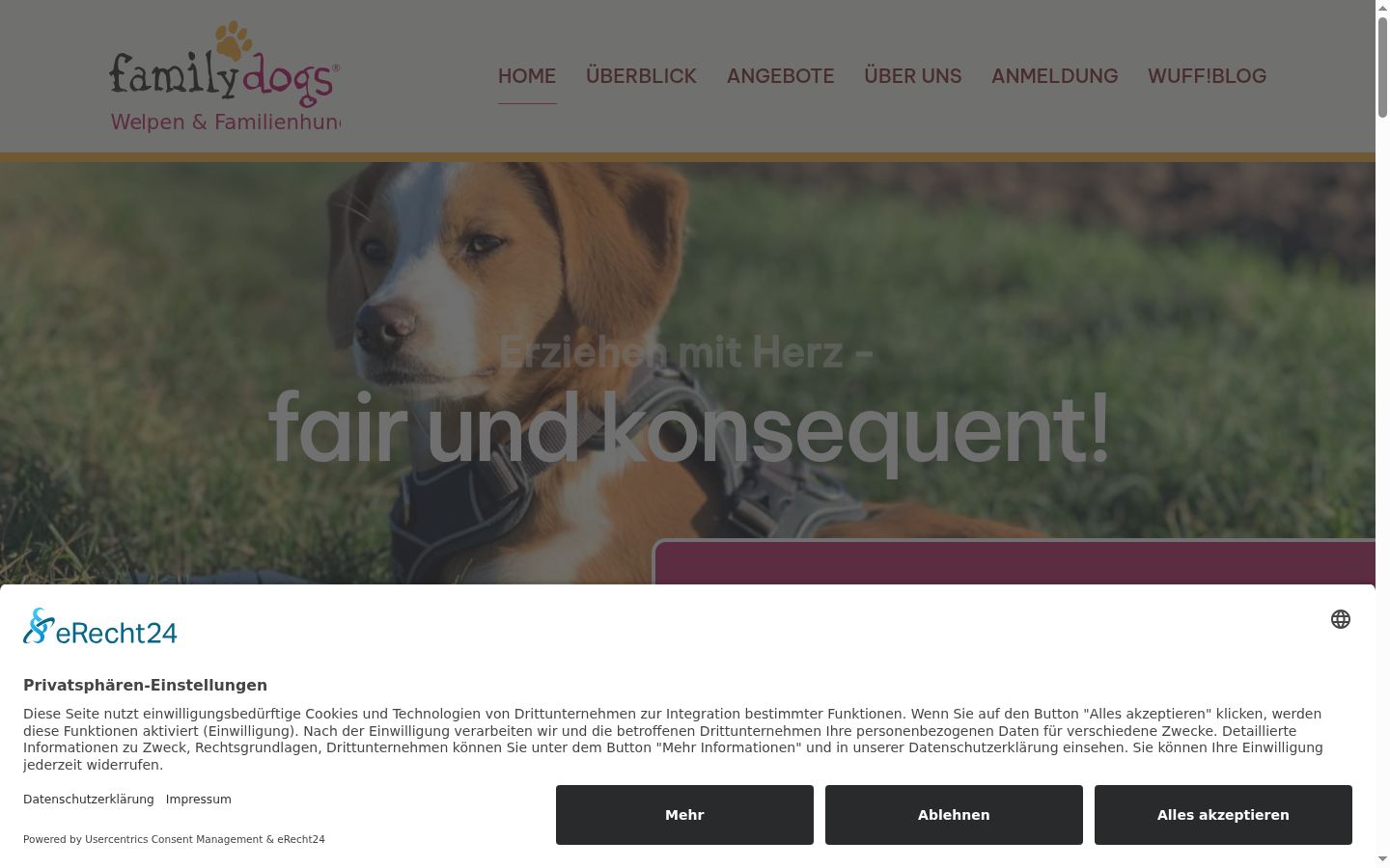 Screenshot tal-banner tal-kunsens muri qabel kwalunkwe interazzjoni