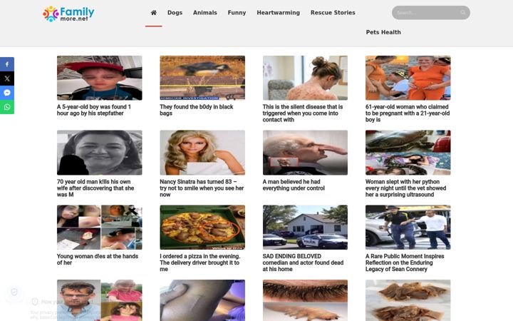 Screenshot of familymore.net