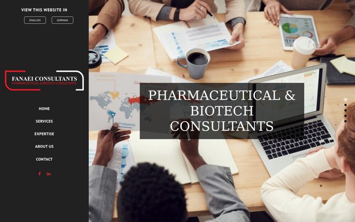 Screenshot of fanaeiconsultants.com