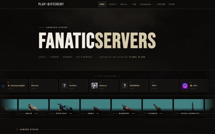 Screenshot of fanaticservers.ro