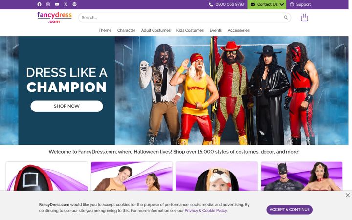Screenshot von fancydress.com