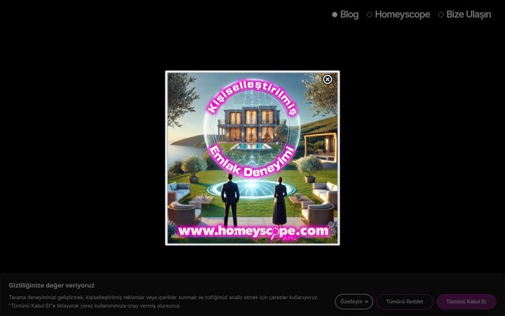 Screenshot of faniisler.com