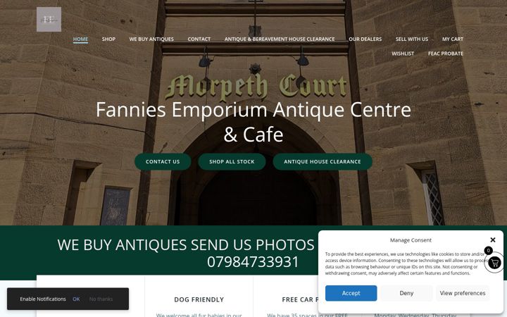 Zrzut ekranu fanniesemporium.co.uk