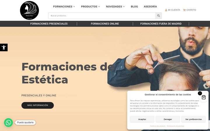 Screenshot of fannyacademy.com