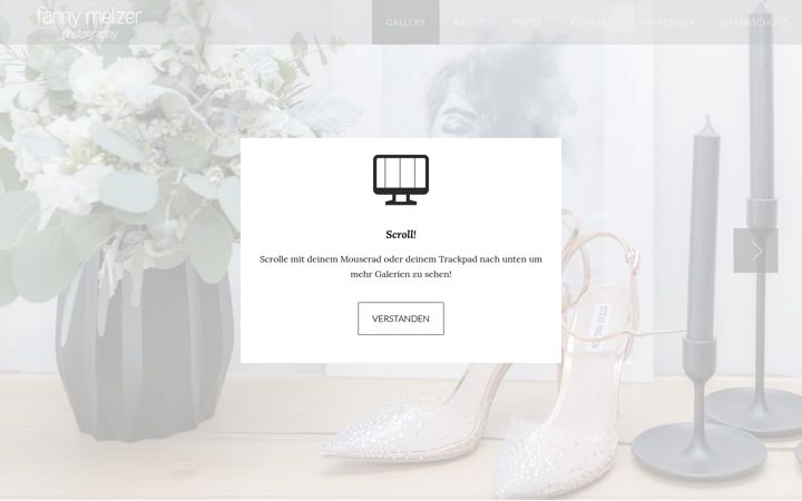 Screenshot of fannymelzer.de