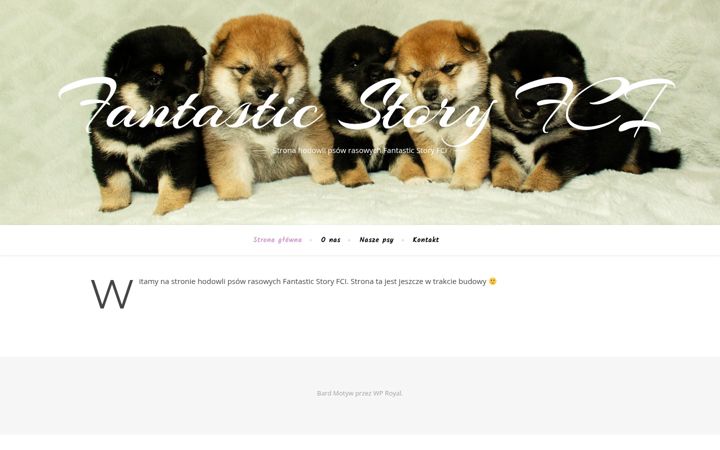 Screenshot of fantasticstory.pl