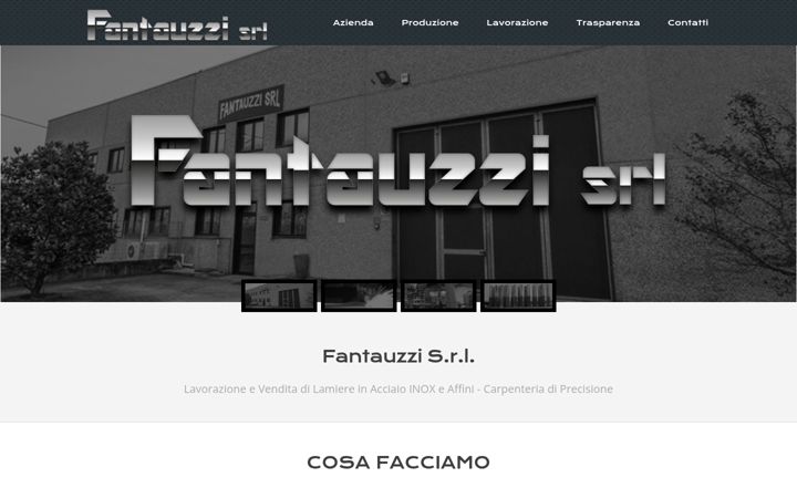 Screenshot di fantauzzisrl.it