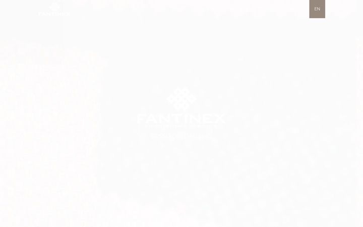 Screenshot of fantinex.it