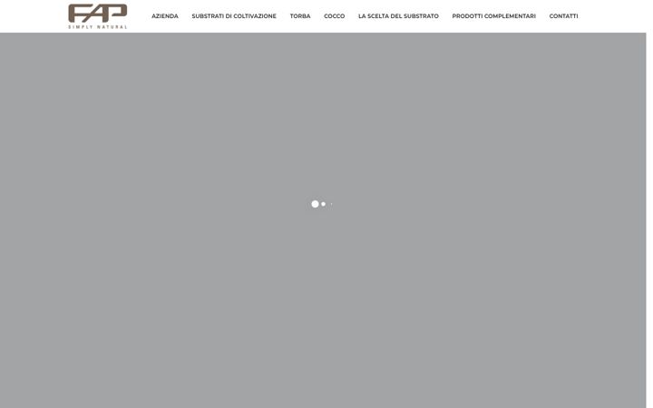 Screenshot of fapsrl.com