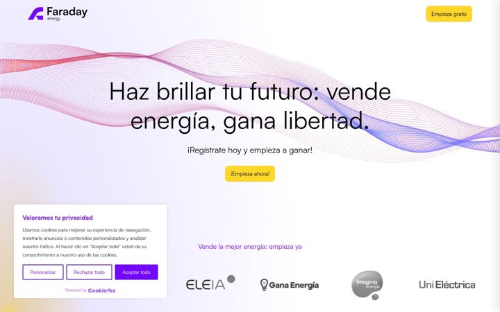 Zrzut ekranu faradayenergy.io