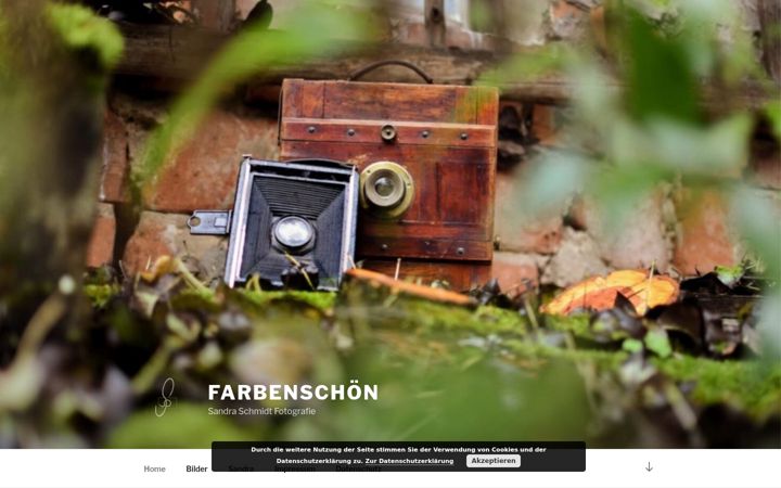 Screenshot of farben-schoen.de