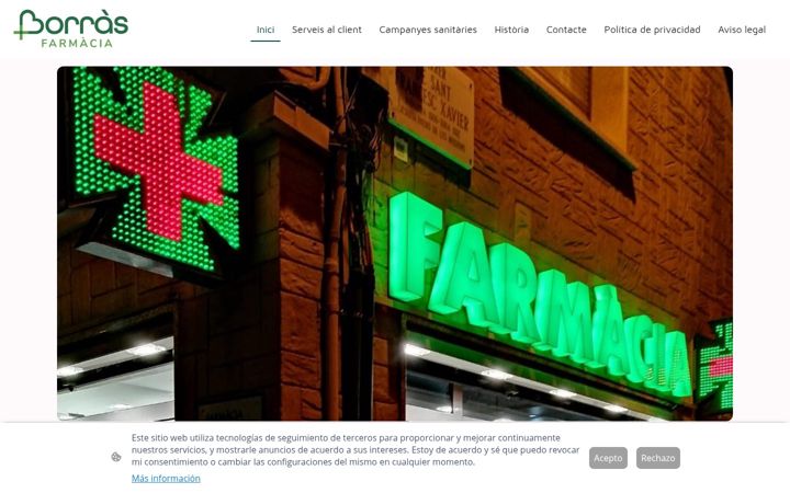 Screenshot of farmaciaborras.com