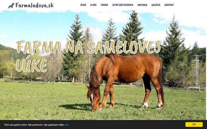 Screenshot of farmaladova.sk