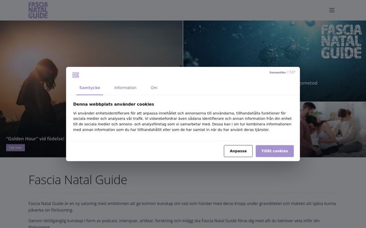 Screenshot of fascianatalguide.com