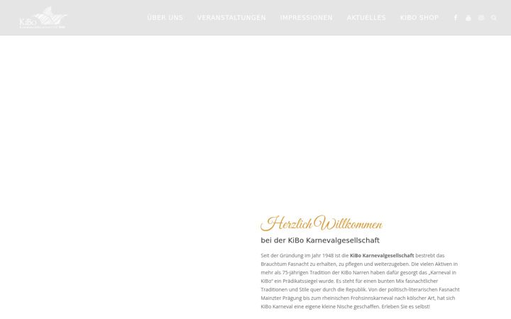 Screenshot stránky fasnacht-in-kibo.de