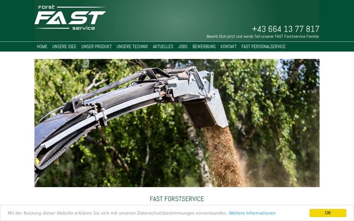 Screenshot of fast-forst.at