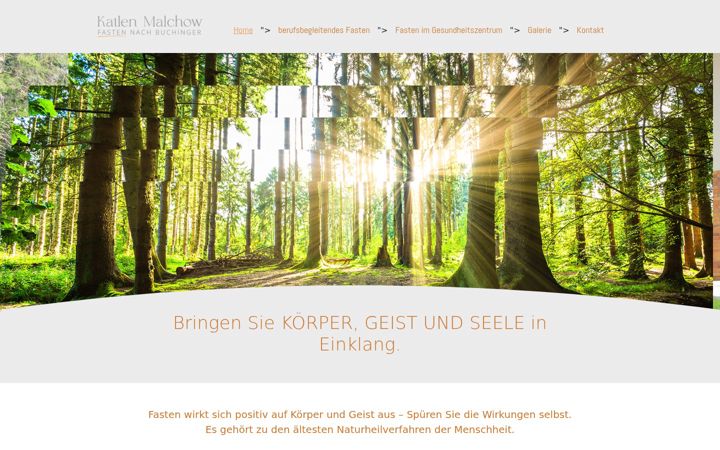 Screenshot of fasten-katlenmalchow.de