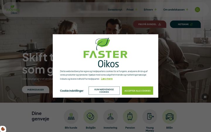 Screenshot of faster.dk