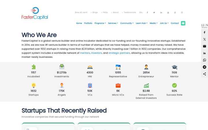 Skjermbilde av fastercapital.com