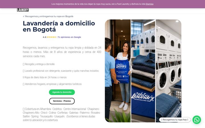 Screenshot of fastlaundrybogota.com