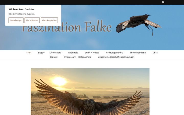 Screenshot of faszination-falke.de