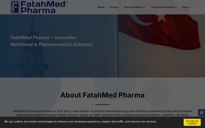 Screenshot of fatahmed.com
