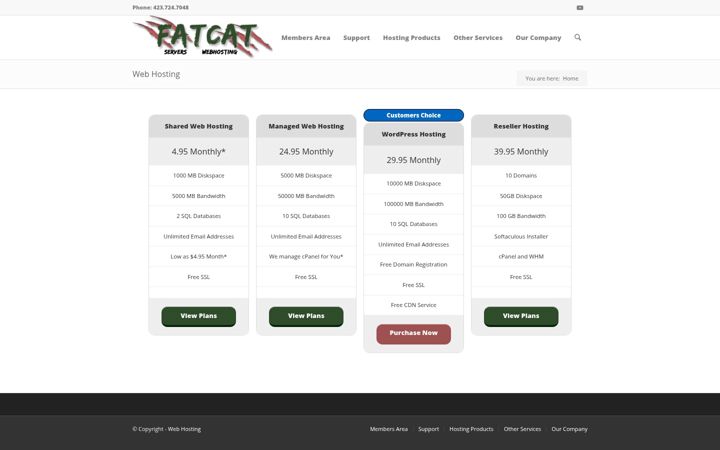 Screenshot of fatcatservers.com